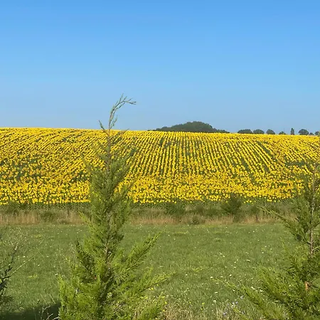 Дом отдыха Liguand *