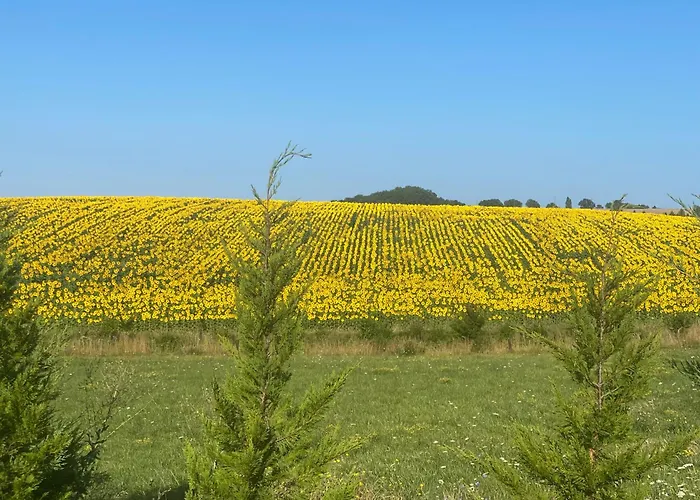 Дом отдыха Liguand *